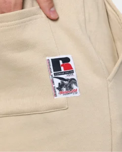 Russell Athletic Jogger Trackpants Stone 19 Russell Athletic Jogger Trackpants Stone -Champions Style 03009967 YS400 mens 0100